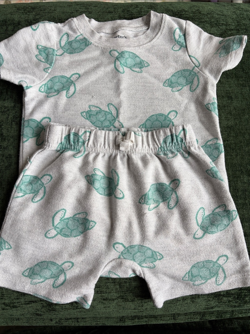 Carter's Gray Short Set with Teal Turtle Print
